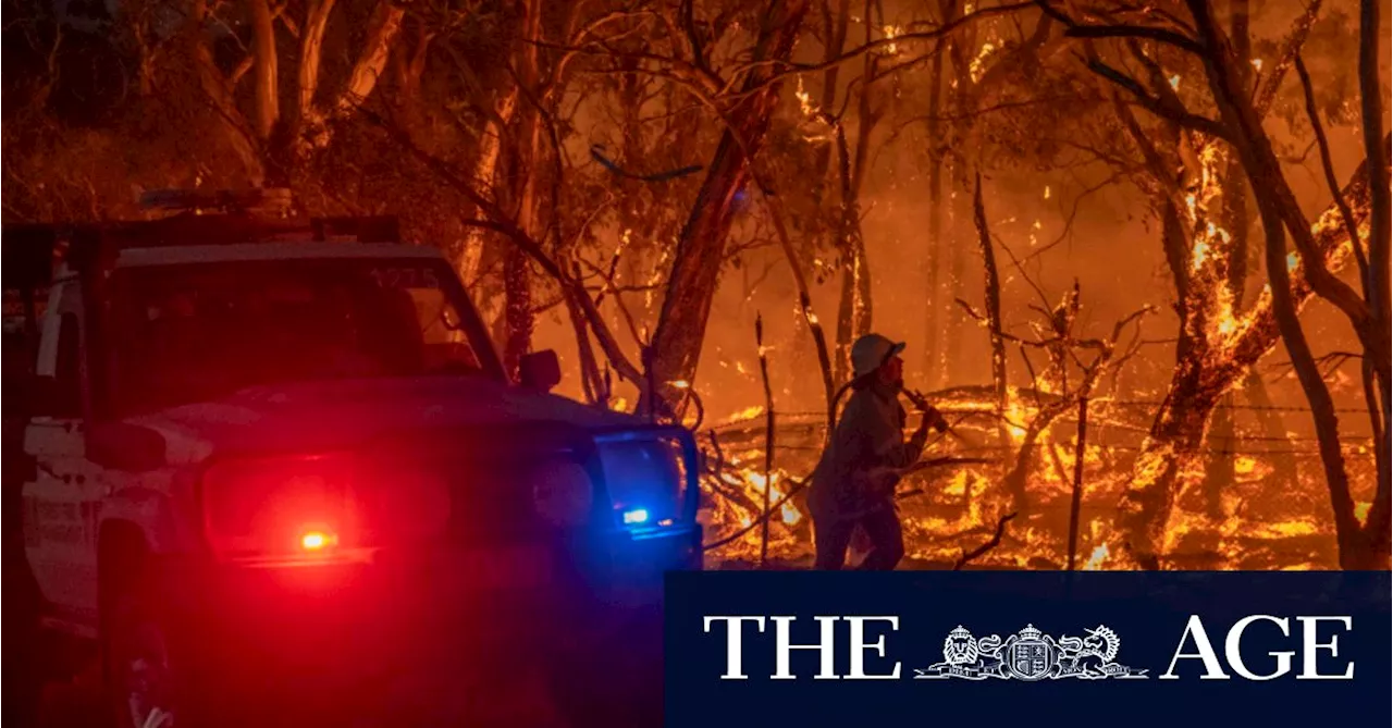 ‘Summer of grass fires’: Authorities warn of increased fire risk