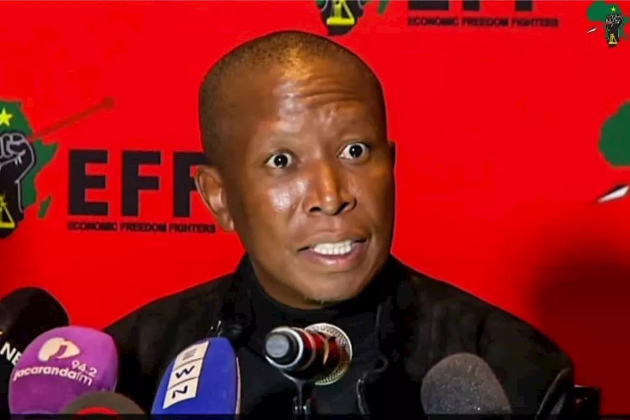 Once-banned Malema mends relations with Botswana government, attends inauguration