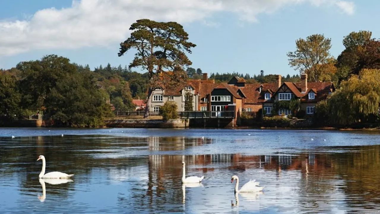 The beautiful forest village with riverside walks, ponies, pigs and cosy pubs