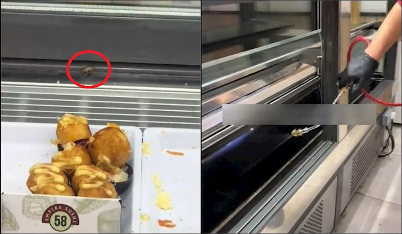 Empire Sushi Swiftly Deep Cleans Sunway Outlet After Cockroach Seen Crawling In Food Display