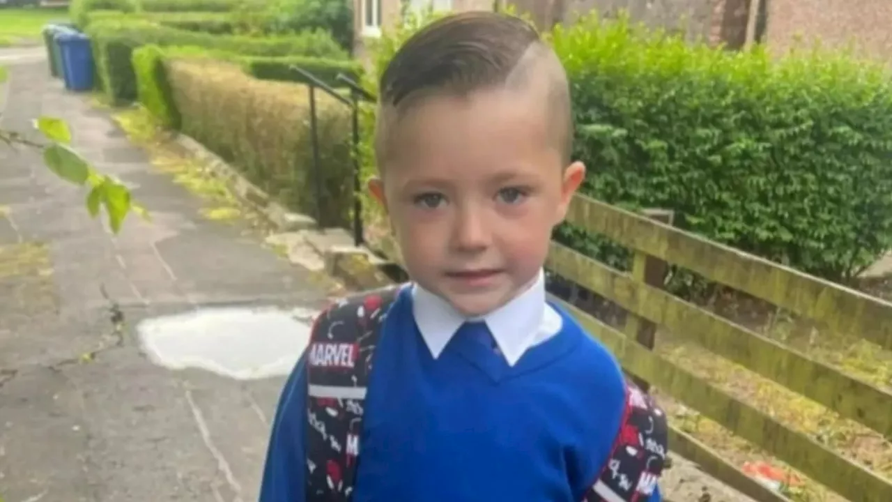 Five-year-old boy mauled by XL Bully as horror attack leaves him needing facial reconstruction...