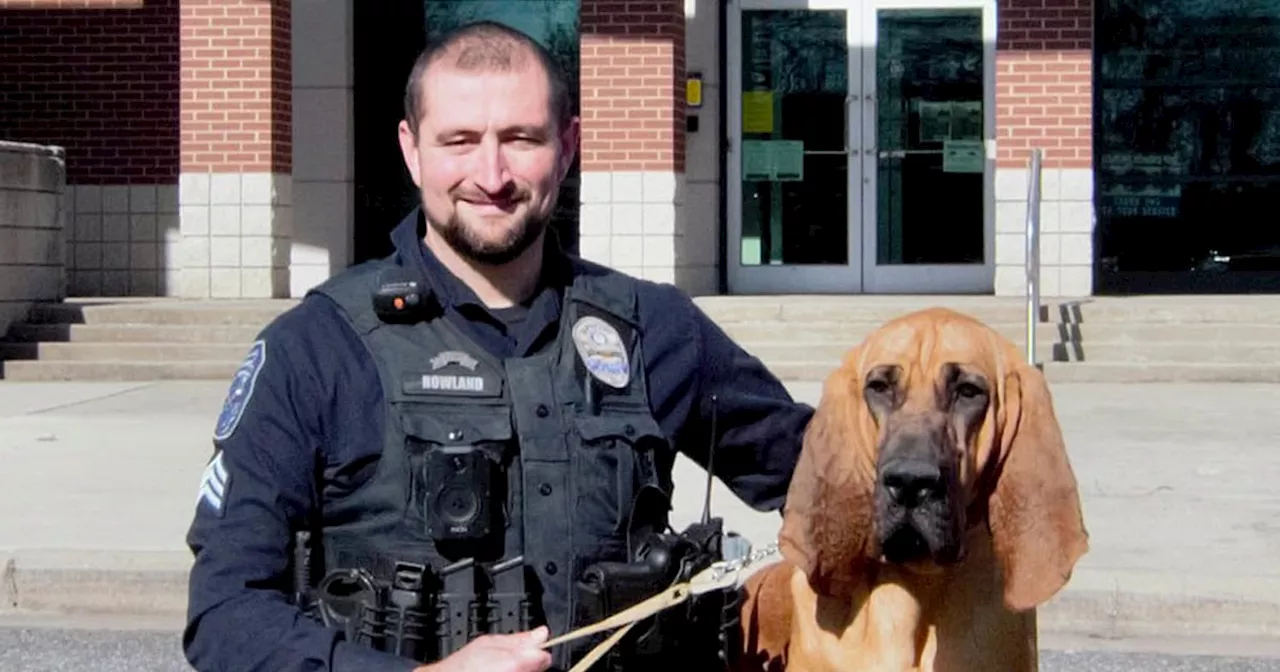 Meet Bo, the Winner of 2024 American Humane Hero Dog Awards: EXCLUSIVE