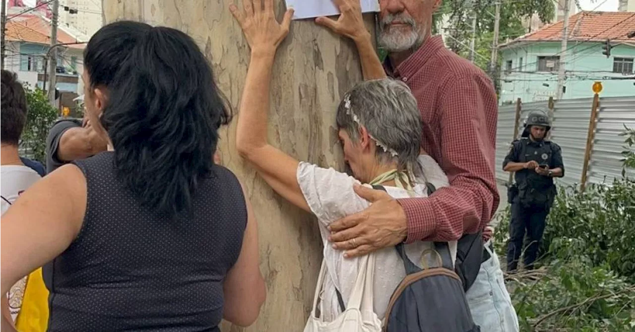 MP recomenda não derrubar corredor verde em SP, Prefeitura ignora e usa de truculência com ambientalistas