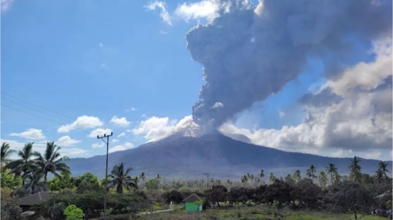 Dampak Lontaran Batu Pijar dari Erupsi Gunung Lewotobi Signifikan, Menurut PVMBG