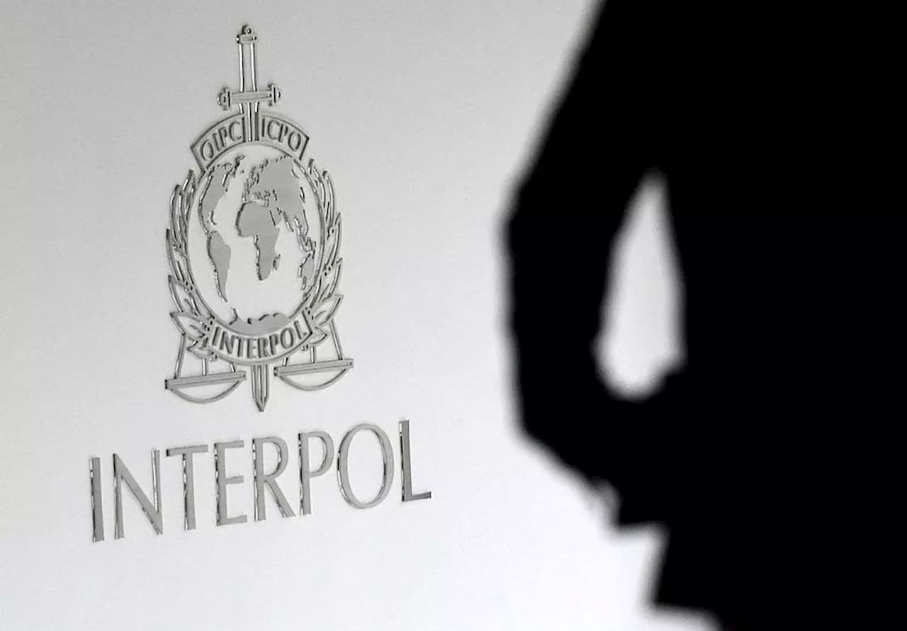 Interpol efectúa más de 100 arrestos en un golpe global contra la mafia de la ‘Ndrangheta