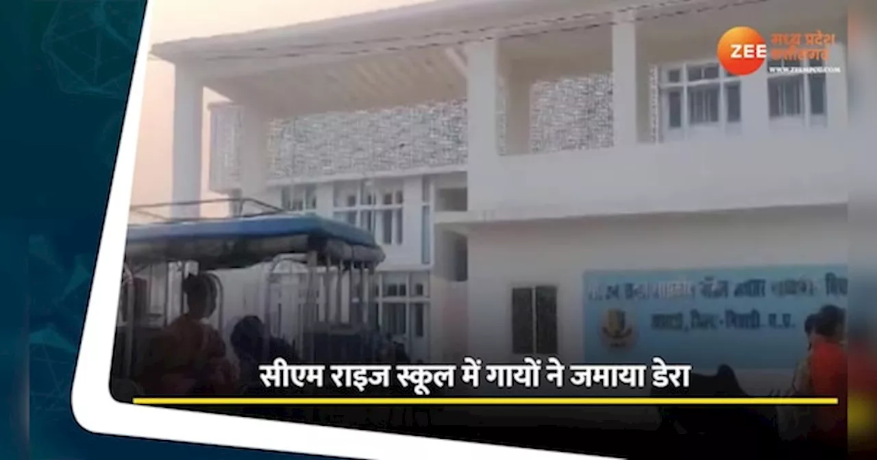 सीएम राइज स्कूल से निकल रही थी गायें, MP का VIDEO हुआ वायरल