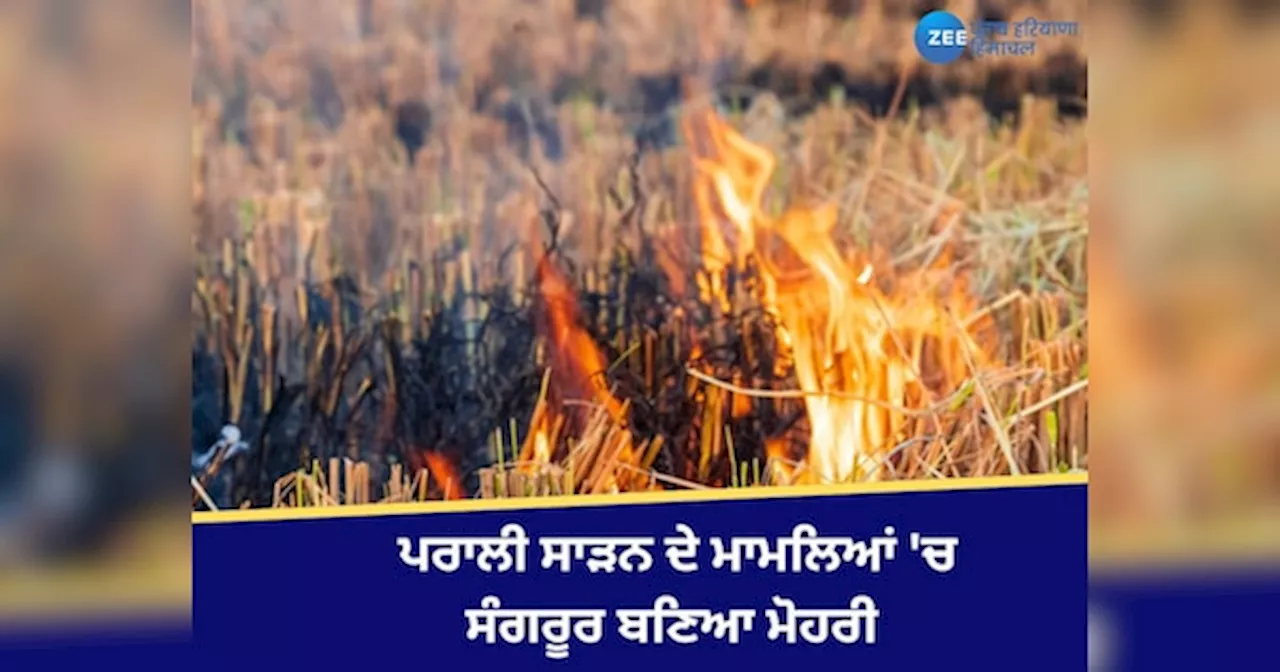 Punjab Stubble Burning: ਪੰਜਾਬ ਚ 7 ਨਵੰਬਰ ਨੂੰ 258 ਥਾਵਾਂ ਤੇ ਸਾੜੀ ਗਈ ਪਰਾਲੀ, ਸਭ ਤੋਂ ਵੱਧ ਸੰਗਰੂਰ ਚ