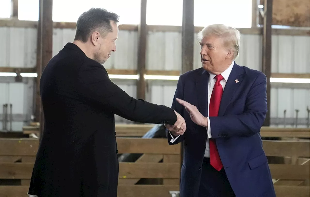 Election américaine 2024 : Musk a participé à la conversation de Zelensky avec Trump après sa victoire