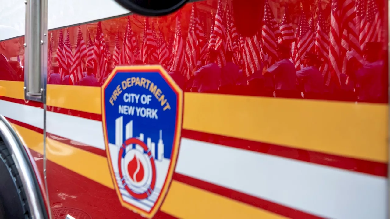 Large brush fire in Brooklyn's Prospect Park under control: FDNY