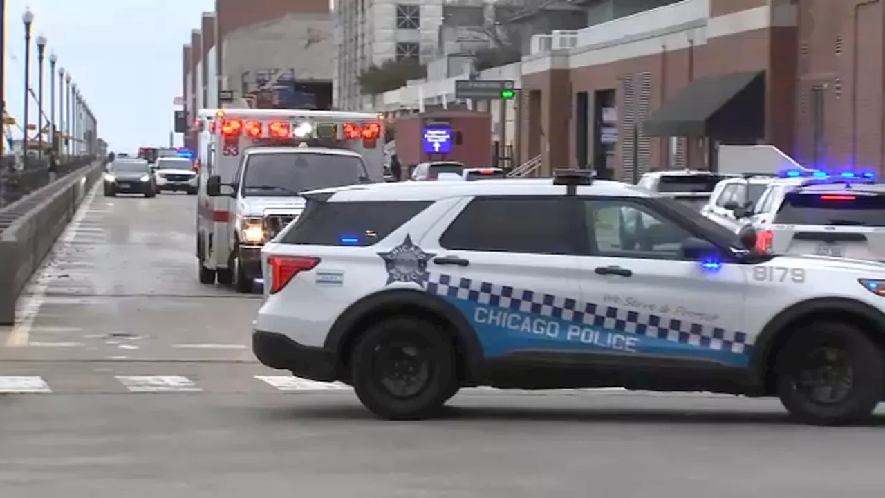 South Shore man charged in double-fatal Navy Pier shooting, Chicago police say