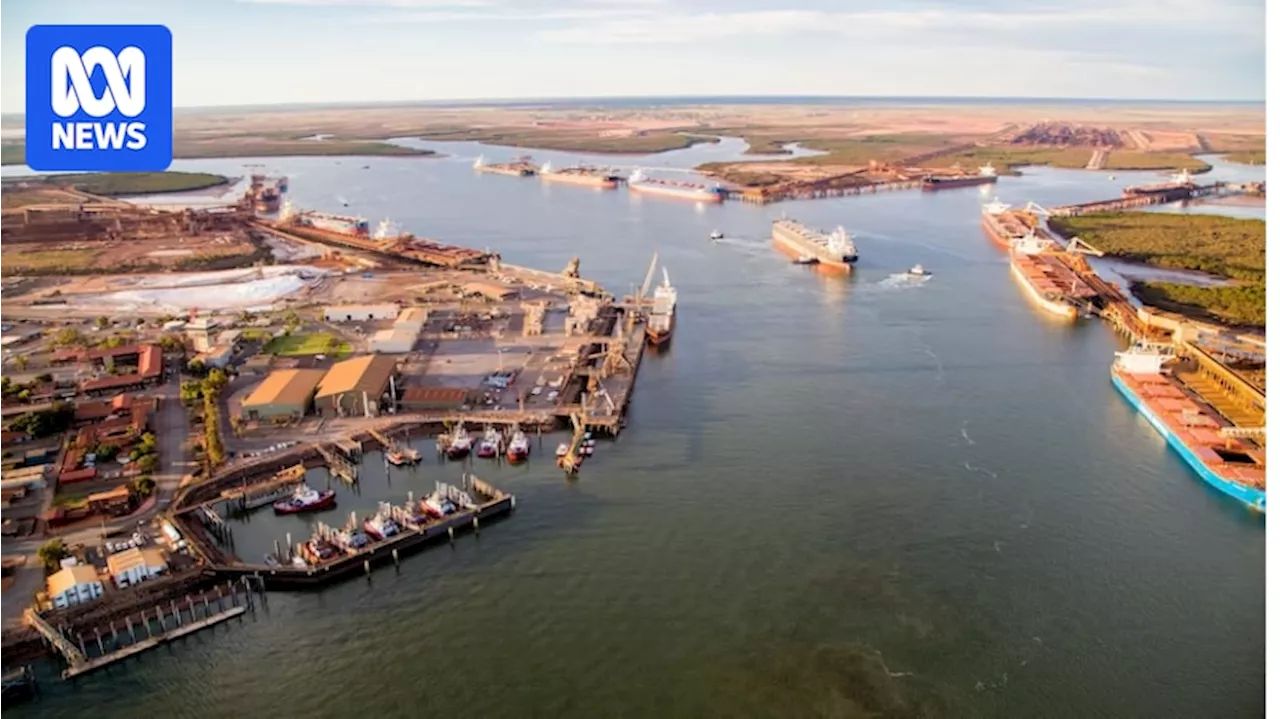 Small crew of marine pilots keeps iron ore flowing through Port Hedland