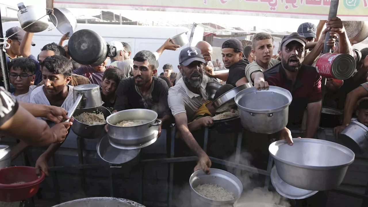 Israel-Hamas war: Hungry Palestinians in north Gaza search for food