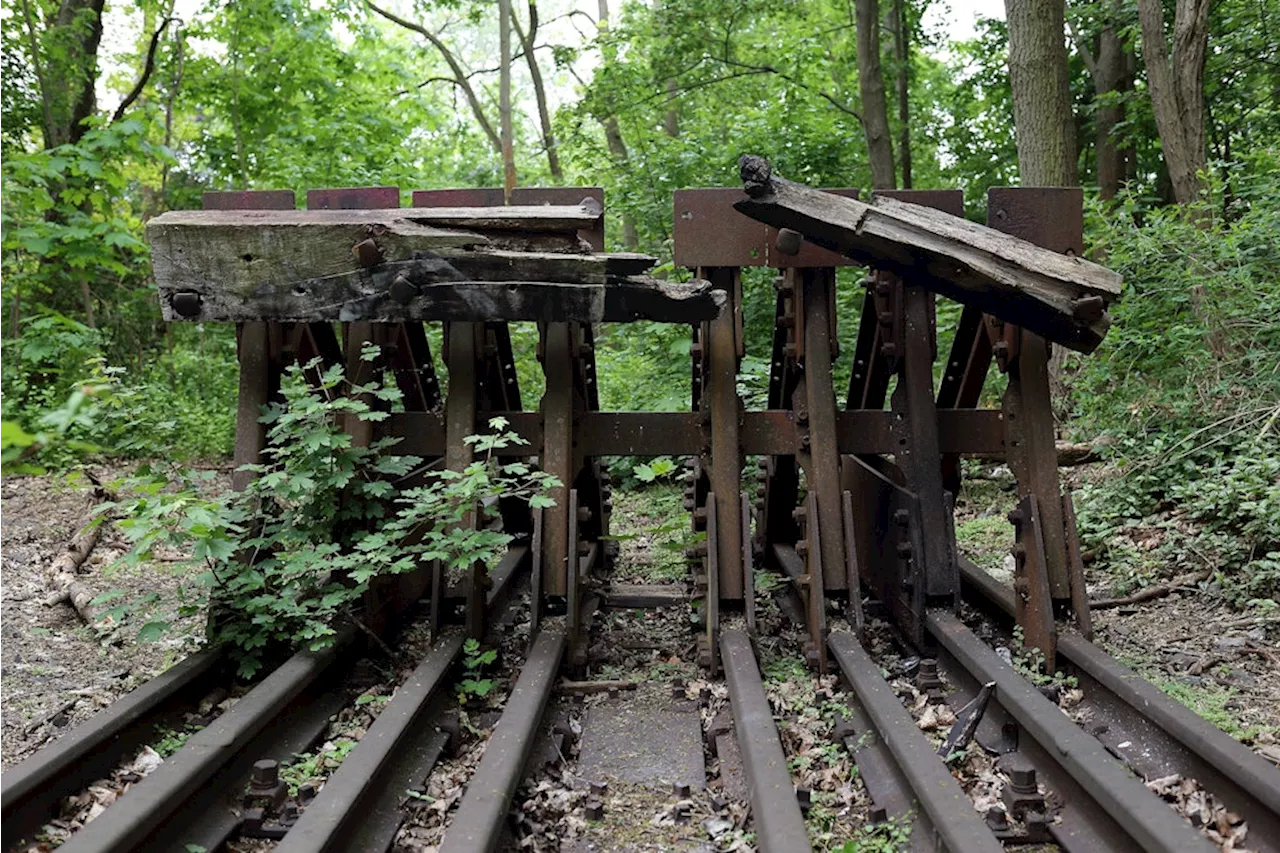 35 Jahre Mauerfall: Diese Bahnlinien in Berlin sind immer noch unterbrochen