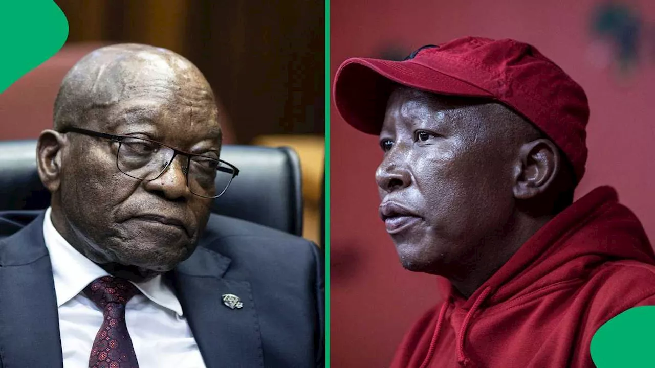 EFF’s Julius Malema Denies Having Any Relationship With MK Party’s Jacob Zuma