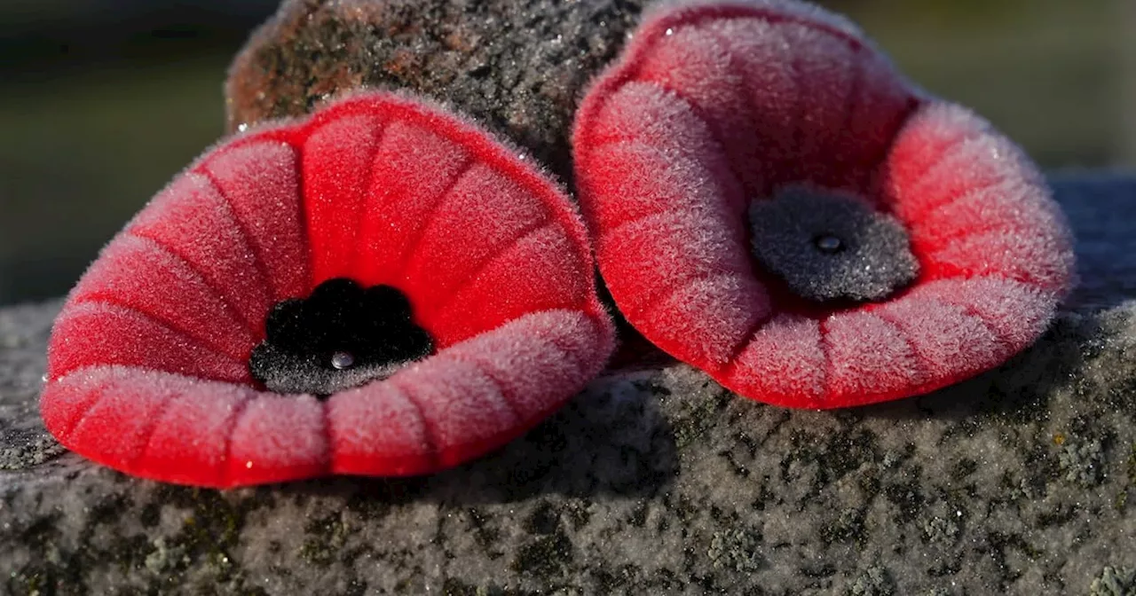 The Royal Canadian Legion turns to Amazon for annual poppy campaign boost