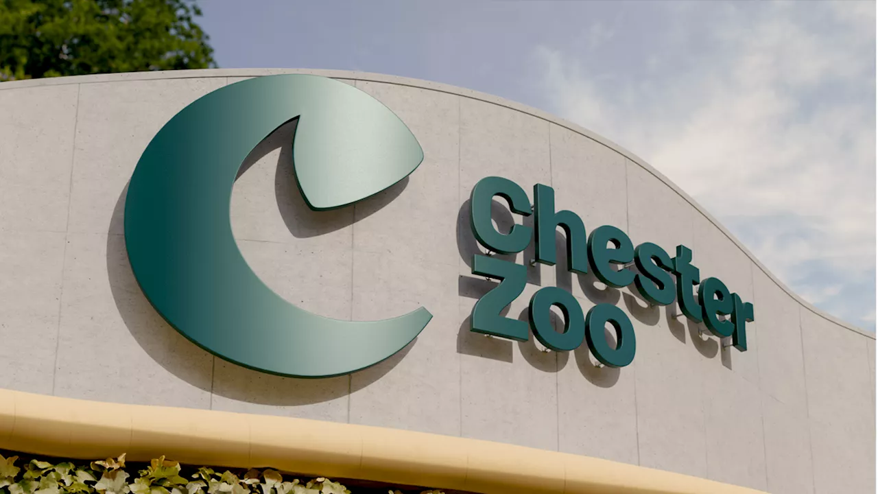 The new Chester Zoo logo has a powerful hidden design secret