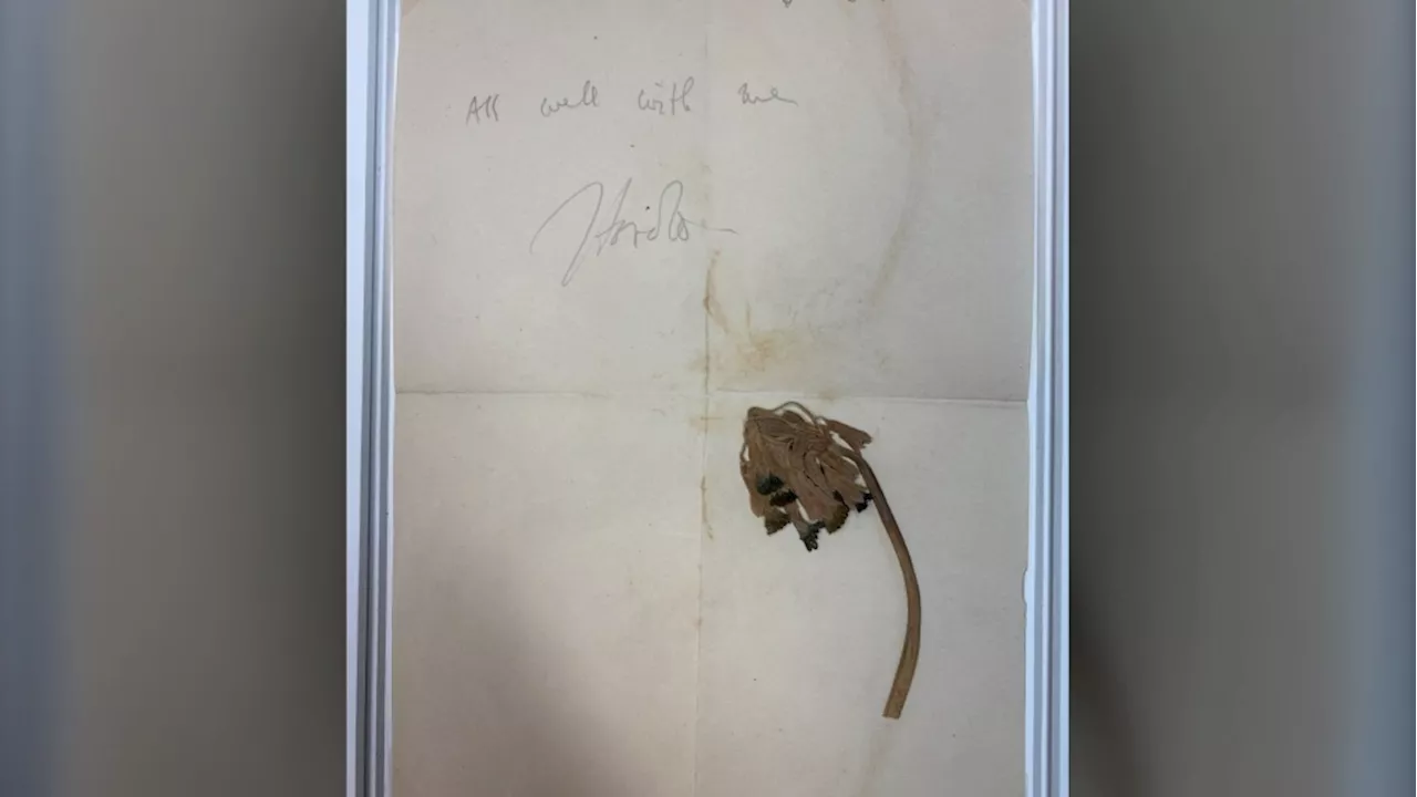 New technology solves mystery of late First World War soldier's flower sent home to Canada