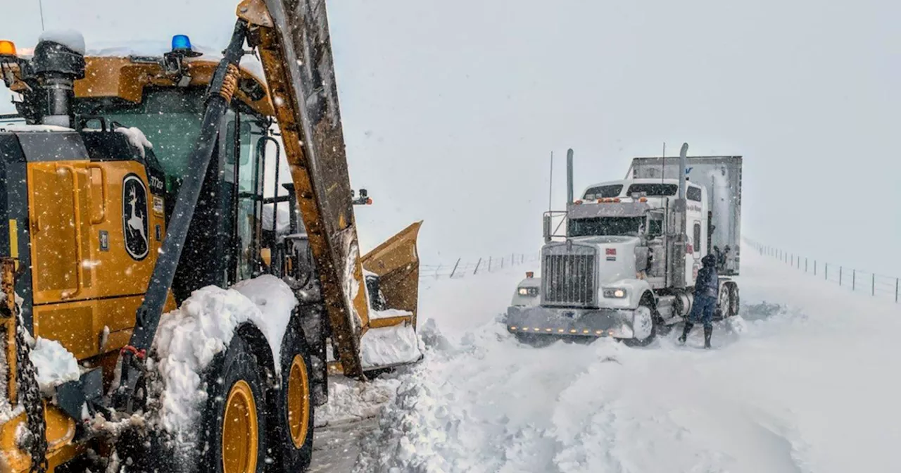 Colorado snow totals: More than 4 feet of snow recorded in parts of state