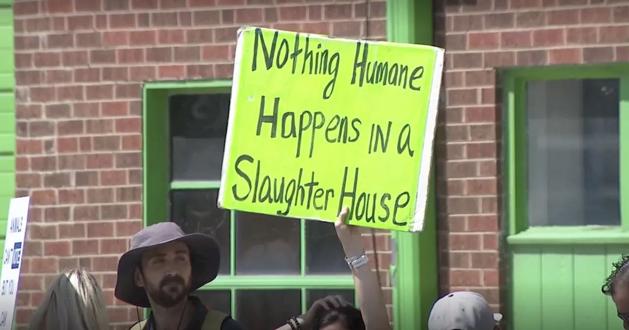 Denver's only slaughterhouse survives as voters reject Initiated Ordinance 309