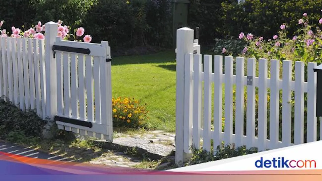 4 Jenis Pagar Kayu buat Halaman Rumah Tampak Lebih Cantik