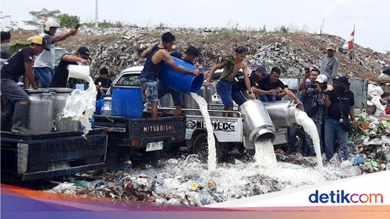 Pengepul-Peternak Boyolali Buang 50 Ribu Liter Susu Sapi ke TPA Winong