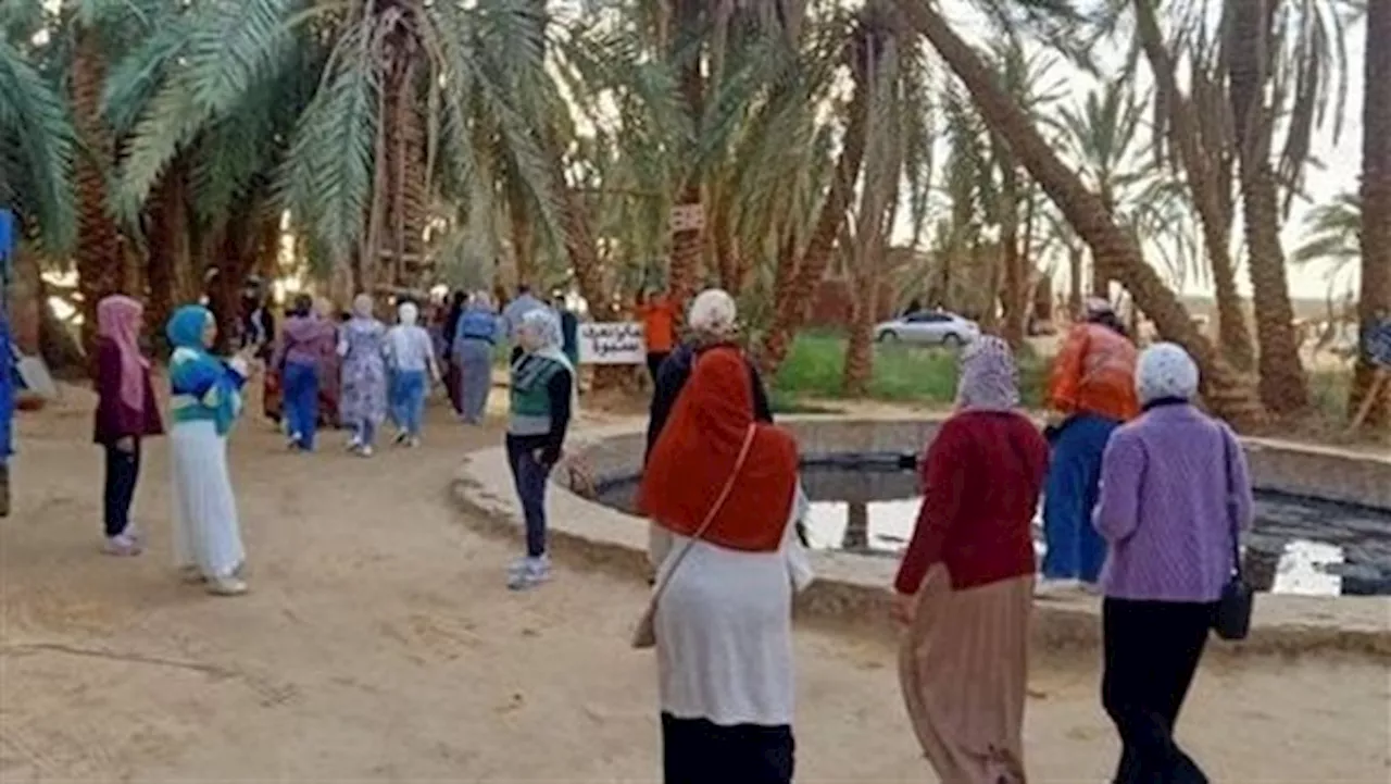 تستقبل زوّارها طوال العام.. بحيرات واحة سيوة بين جمال الطبيعة وعلاج الأمراض|تفاصيل