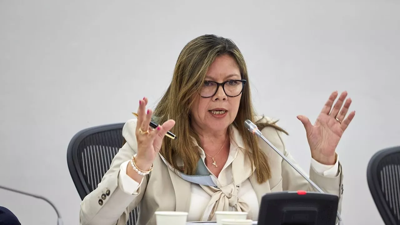 Caso Pegasus: fiscal Luz Adriana Camargo también se reunió con portavoces del gobierno Biden