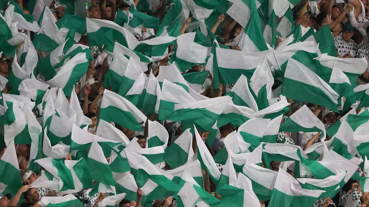 'Muita folga para pouca obrigação': torcida do Palmeiras protesta em jogo contra Grêmio