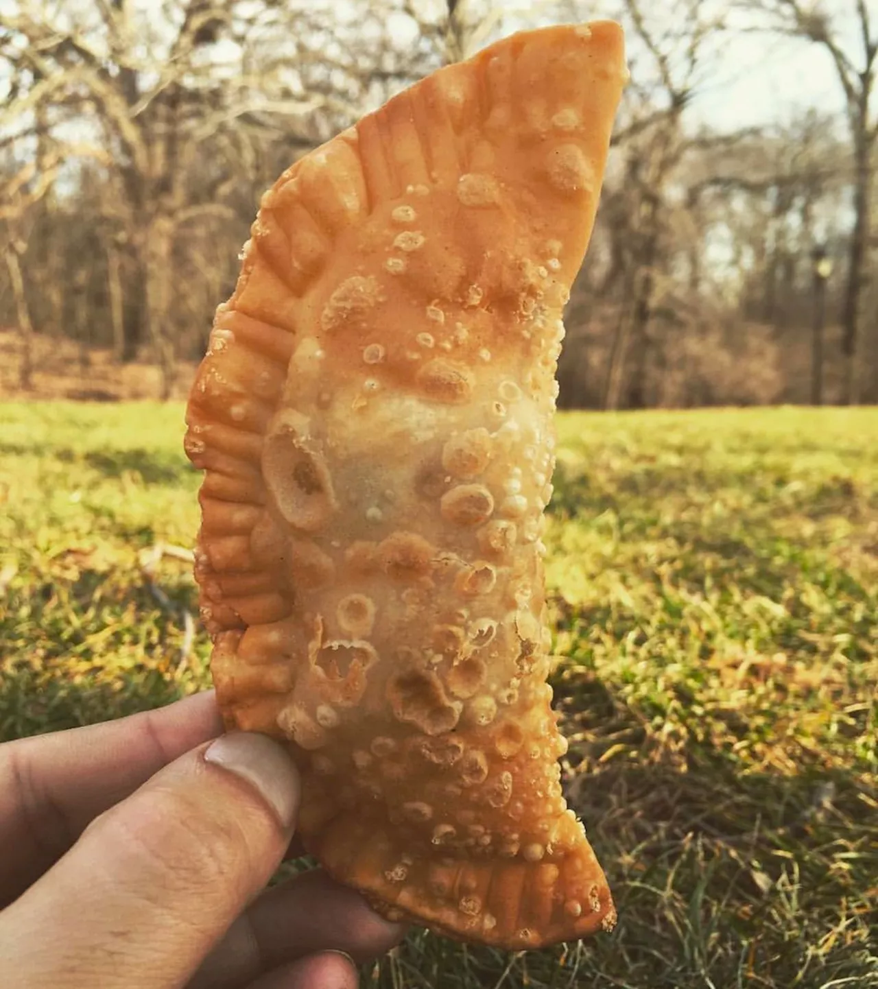 Chicken Pot Pie Empanadas Recipe on Food52