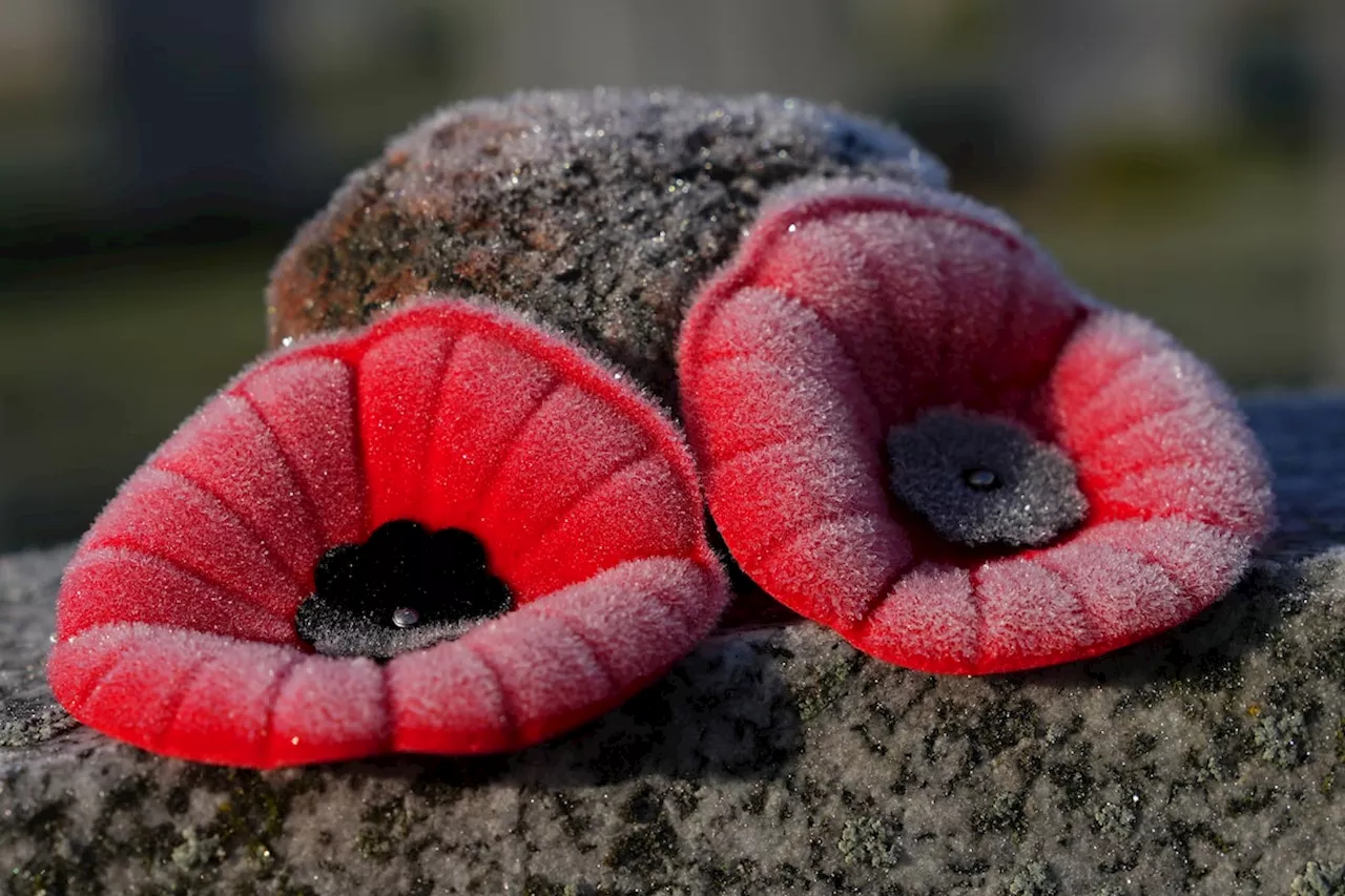 The Royal Canadian Legion turns to Amazon for annual poppy campaign boost