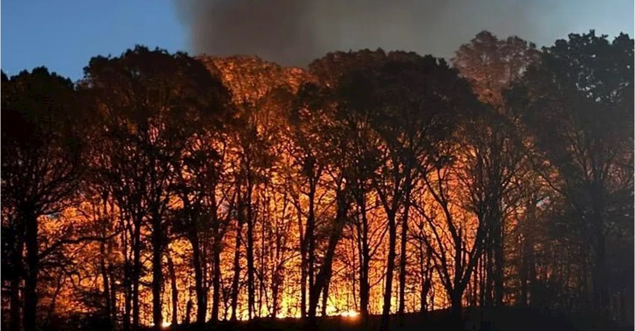 Brush Fire Breaks Out In Brooklyn's Prospect Park During 'Historically Dry Time'