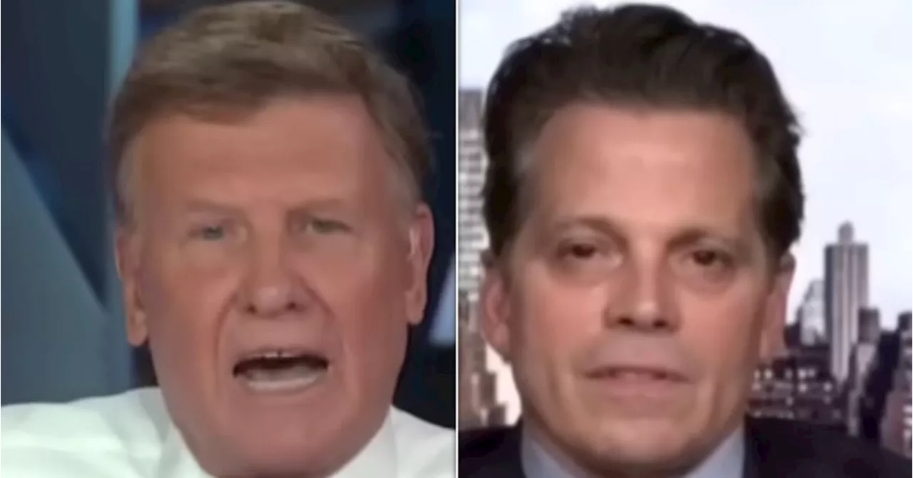 CNBC Host Fumes Over Anthony Scaramucci's Trump Take: Aren't You 'Embarrassed?'