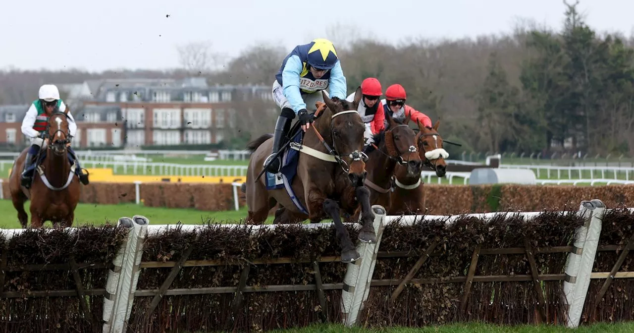 Newsboy's nap and racing tips for Sunday UK meetings at Sandown and Ffos Las