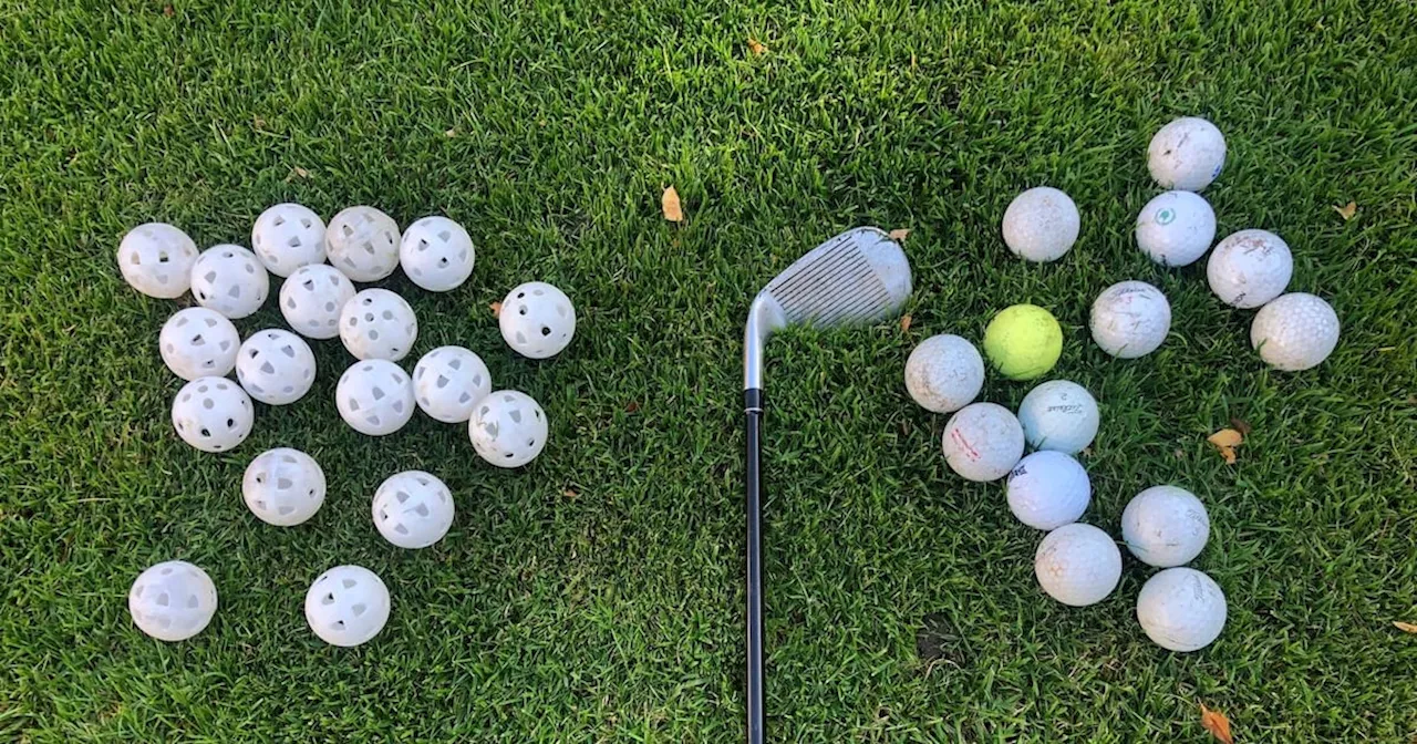 A nocturnal creature stole 40 standard golf balls but no hollow plastic ones. Why?