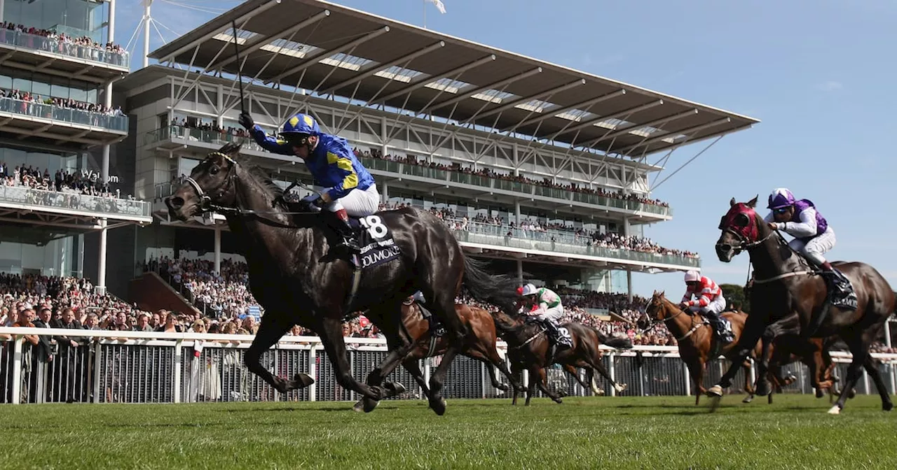 No fairytale farewell as Irish jockey Jimmy Quinn calls time at 57