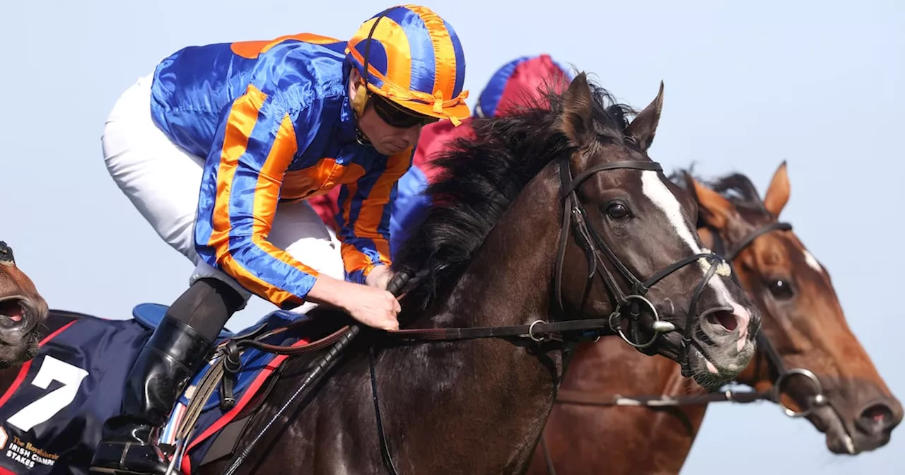 Ryan Moore confident Japan Cup hope Auguste Rodin can be competitive in final career start