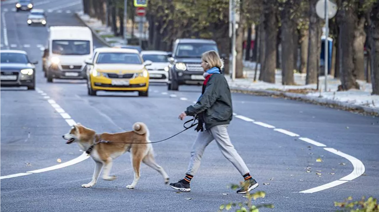 В Гидрометцентре пообещали москвичам потепление до +8 градусов 9 ноября