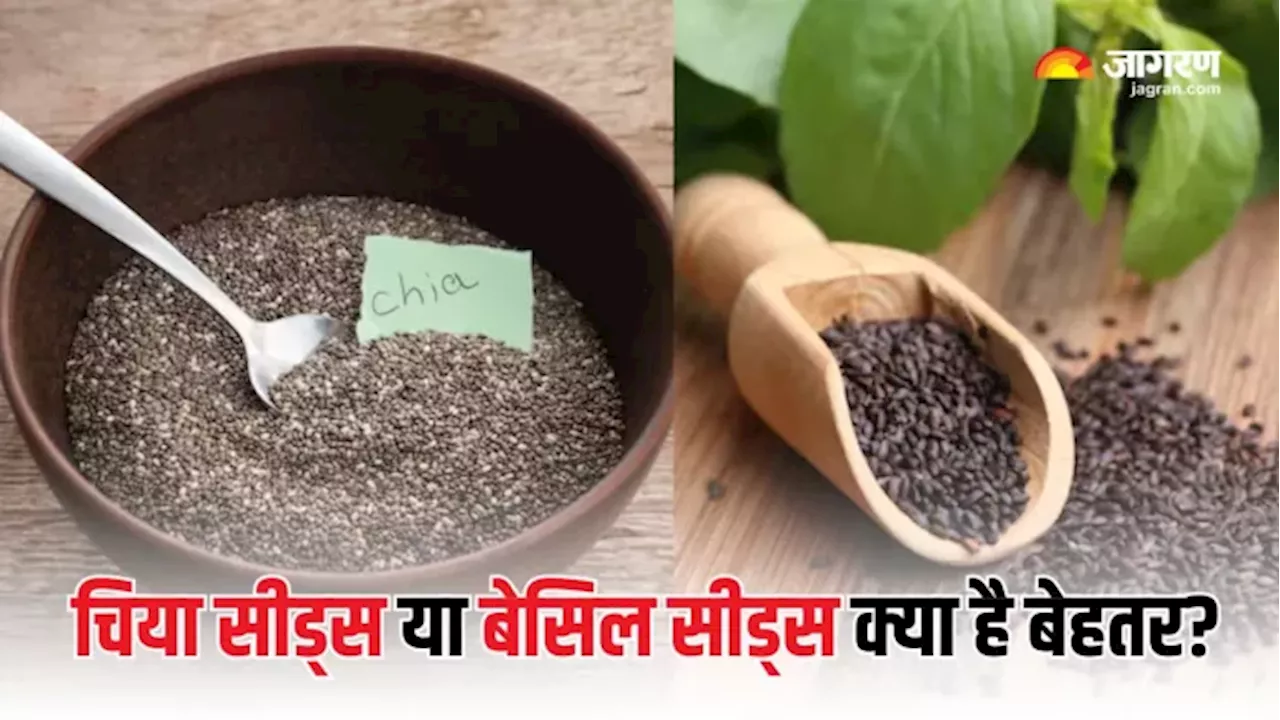 Chia Seeds या Basil Seeds, दोनों में से वेट लॉस के लिए क्या है ज्यादा असरदार, जवाब सुनकर चौंक जाएंगे आप