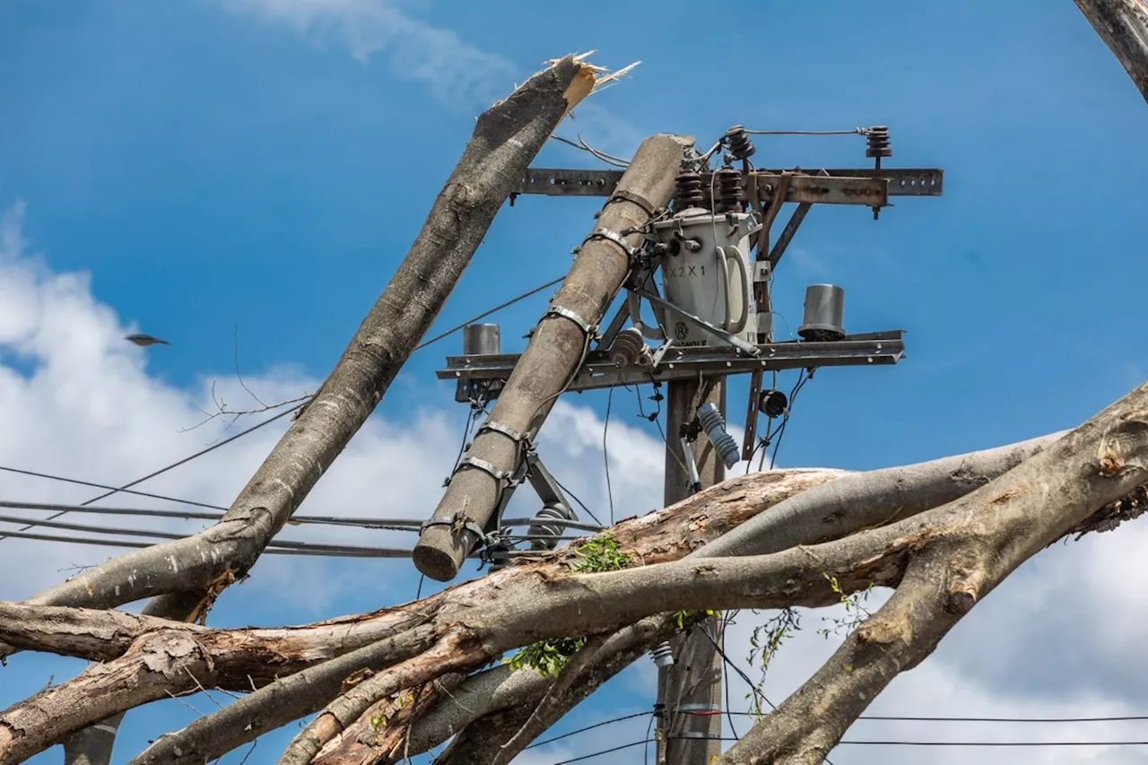 Governo de SP entra com ação contra Enel por apagões de 2023 e 2024