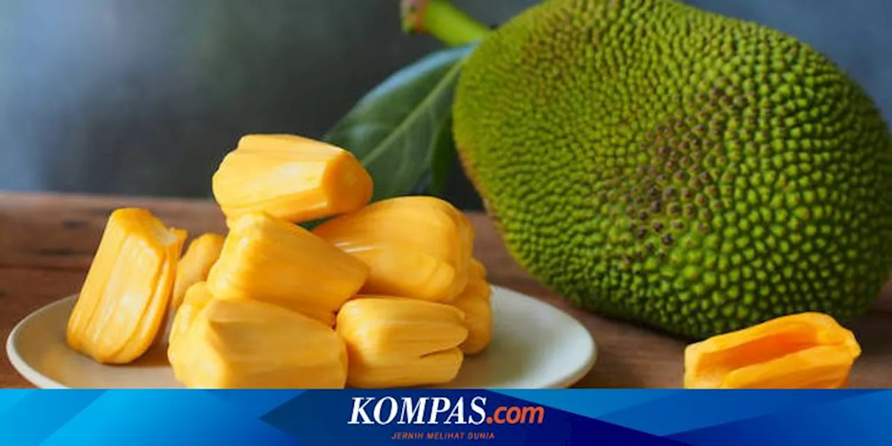 Kelompok Orang yang Tidak Dianjurkan Makan Nangka dan Bijinya