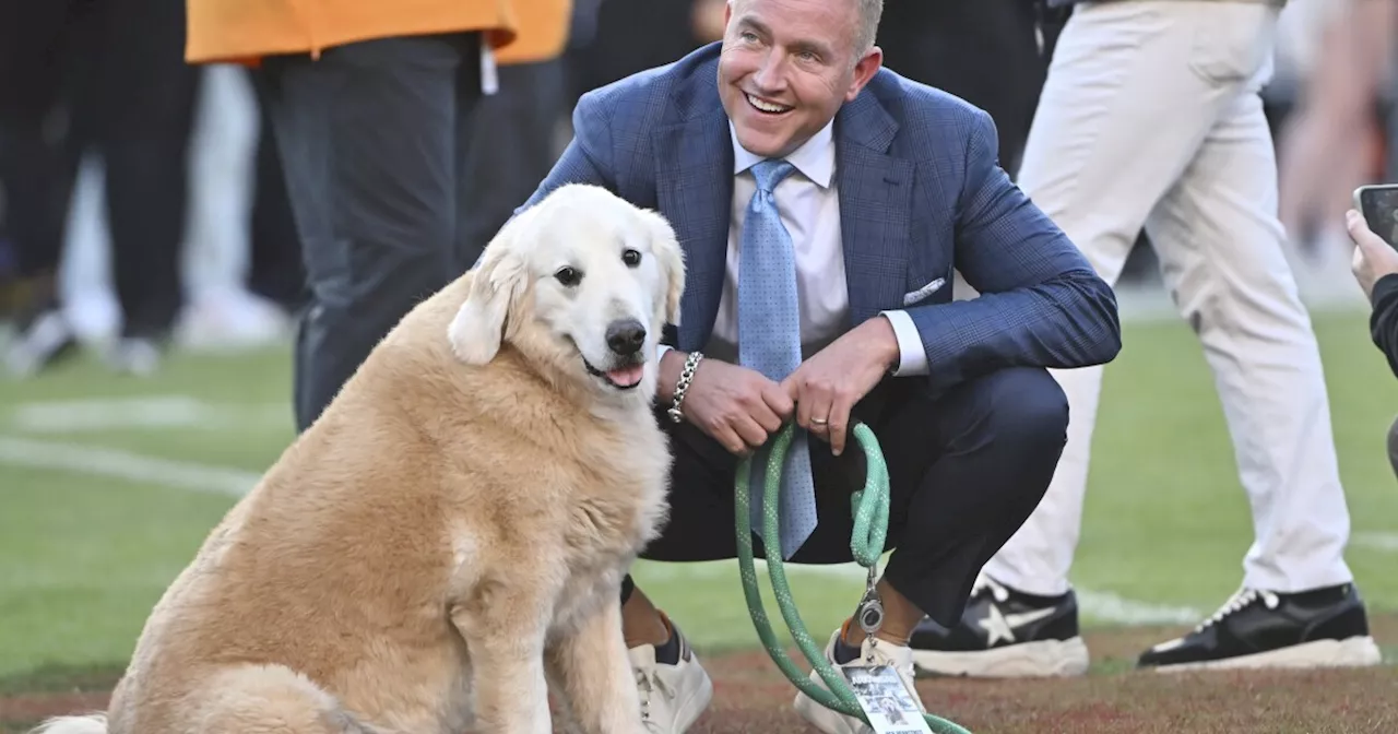 ESPN host Kirk Herbstreit's beloved game day-crashing dog, Ben, has died