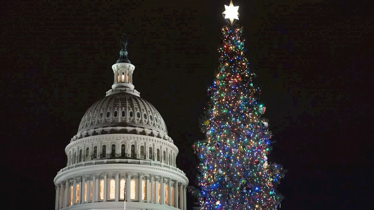 US Capitol Christmas tree visiting Wheeler Historic Farm on Saturday