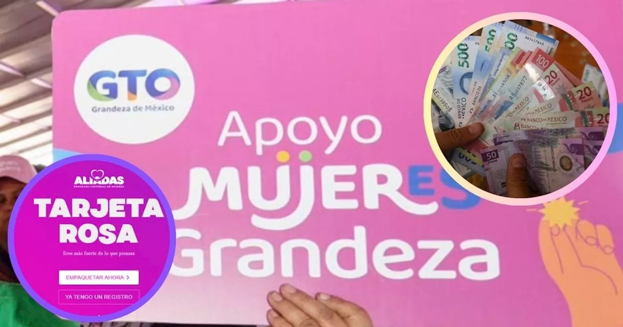 Tarjeta Rosa Guanajuato 2024: cómo será el registro en línea y en la app