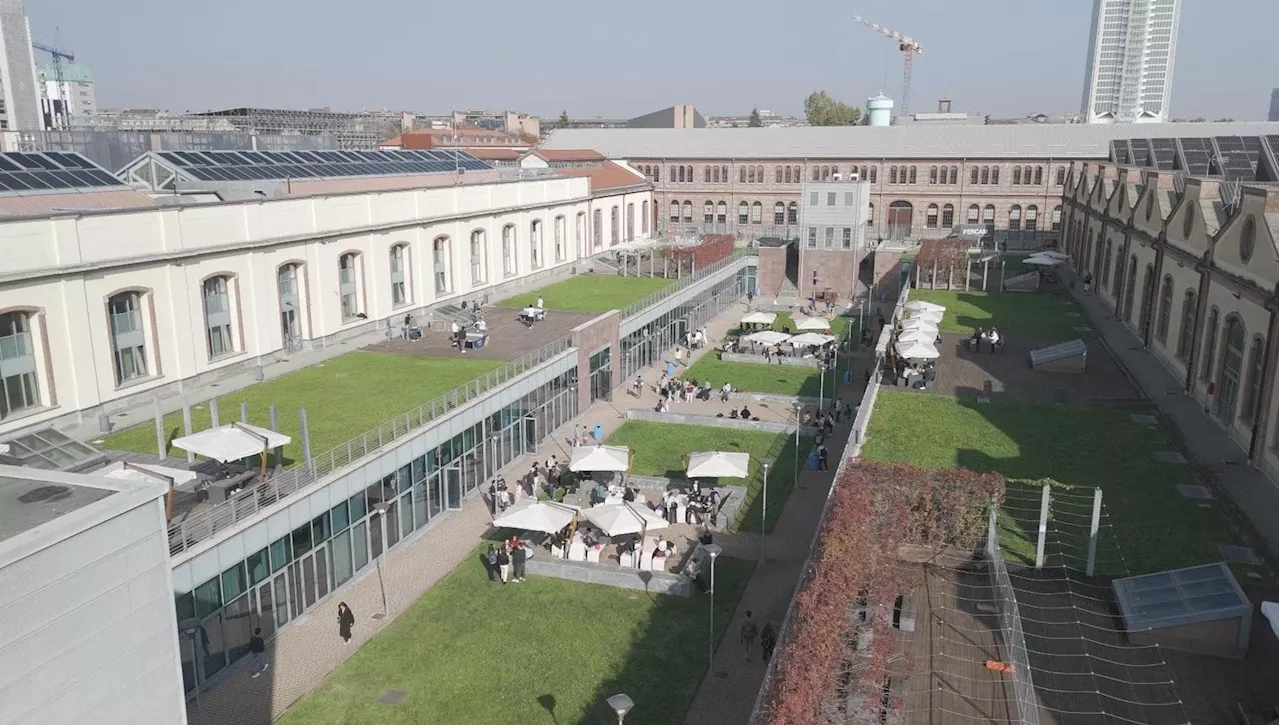 Una vigna urbana nel Politecnico di Torino: “Saremo un modello per l’Europa”