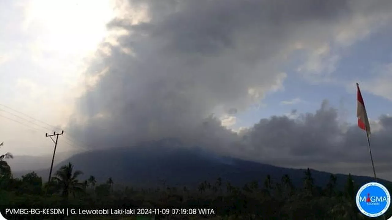 Gunung Lewotobi Laki-Laki Kembali Erupsi Sabtu Pagi, Tinggi Kolom Abu 1.000 Meter