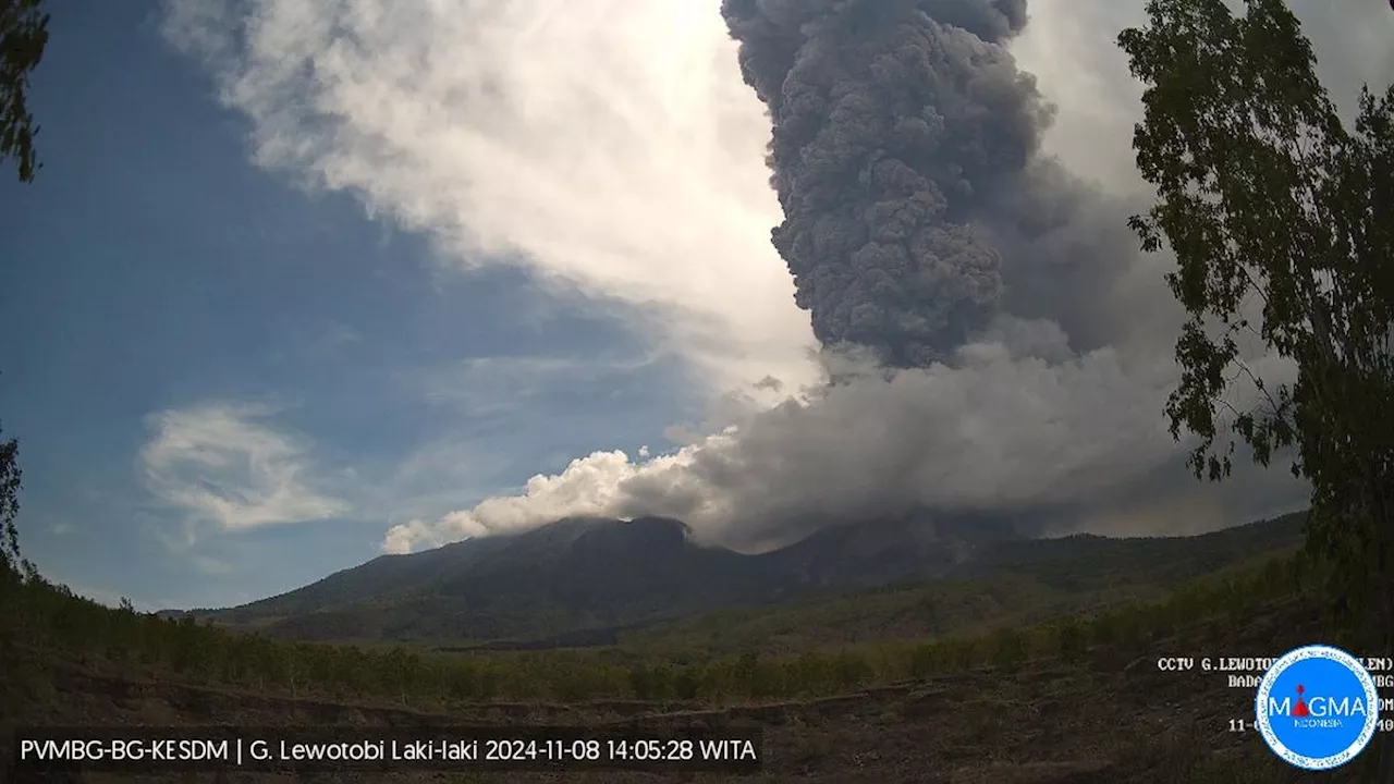 Gunung Lewotobi Laki-Laki Masih Erupsi, Radius Zona Aman Dapat Diperluas