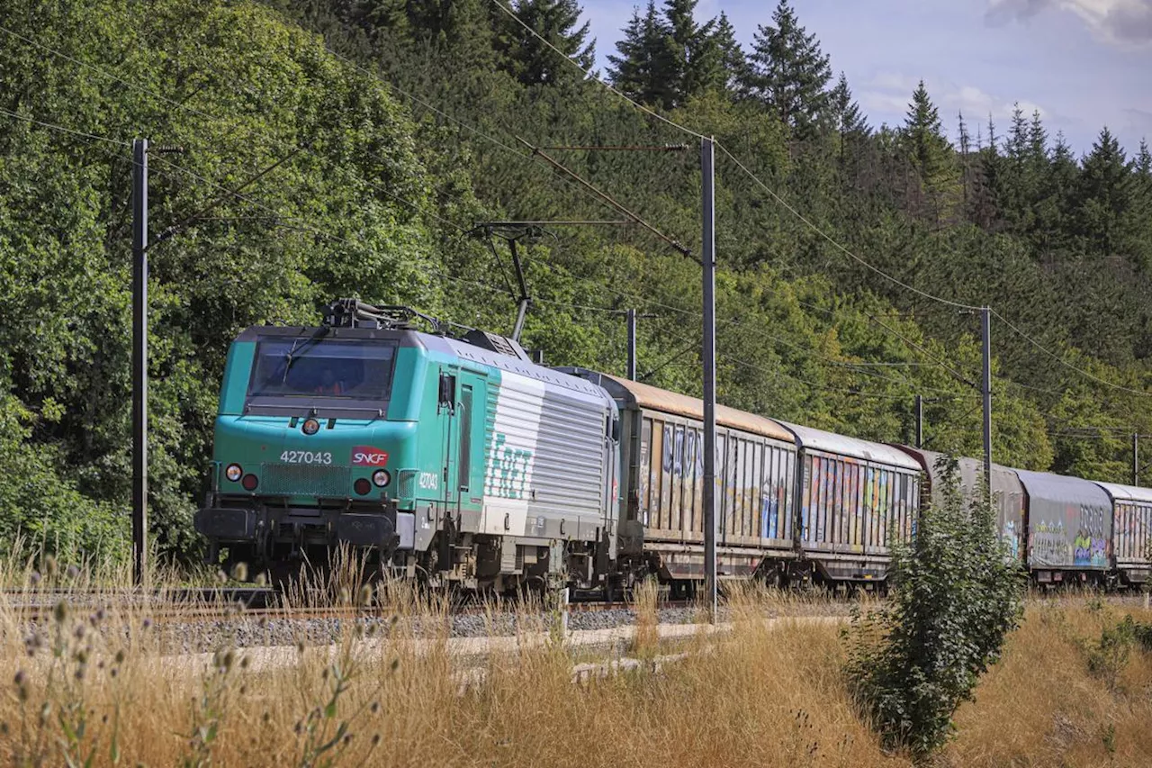 SNCF : les syndicats appellent à une grève illimitée à partir du 11 décembre contre le démantèlement du fret