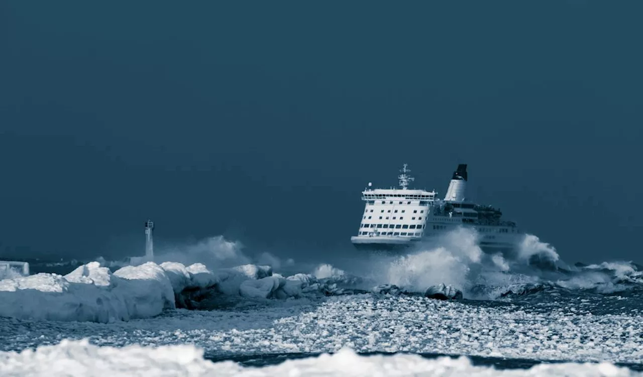 Trump hat die Kompetenz von Kapitän Silbereisen auf dem „Traumschiff“