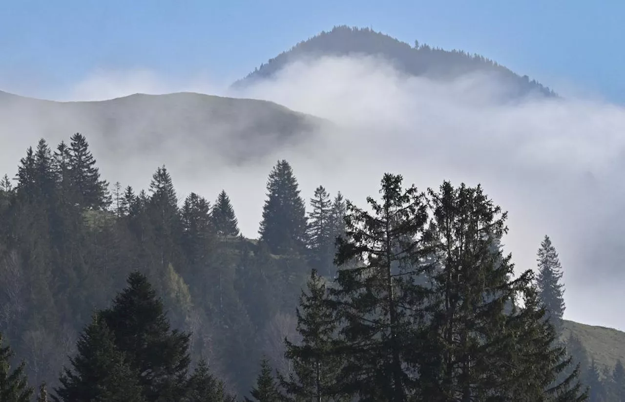 Dichter Nebel und frostige Nächte: Triste Aussichten für das Wochenende in Bayern