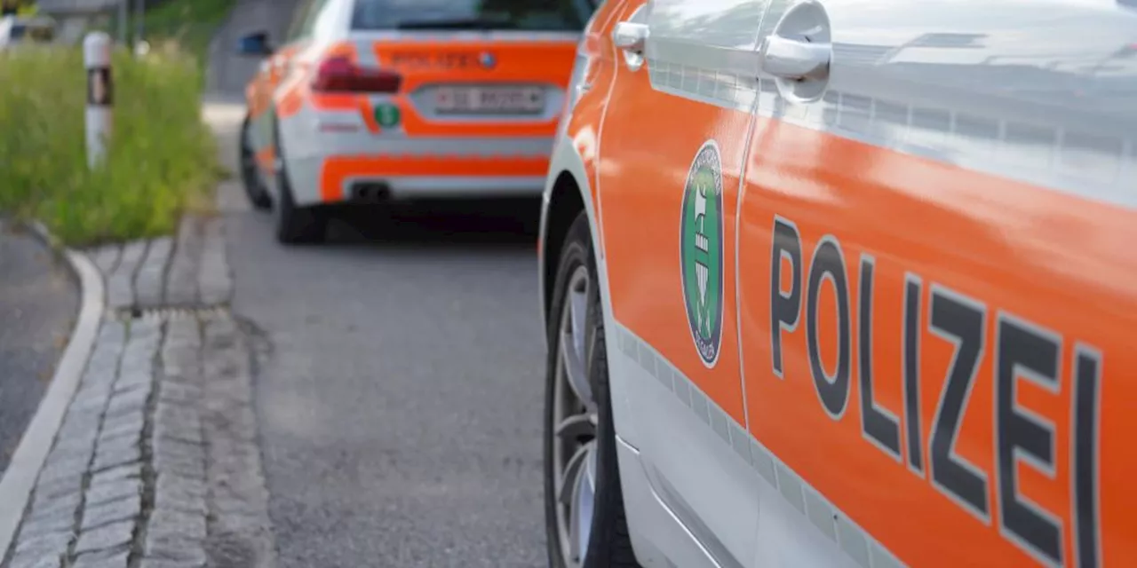 Kanton St. Gallen: Senior (70) flüchtet vor Polizeikontrolle auf A13